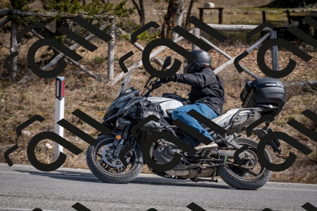 202603011319-DSC_1378_c2