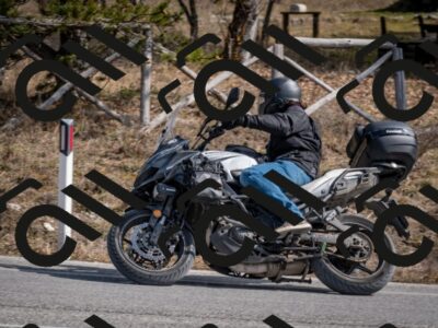 202603011319-DSC_1378_c2