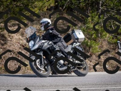 202603011319-DSC_1379_c2