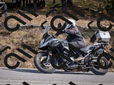 202603011319-DSC_1380_c2