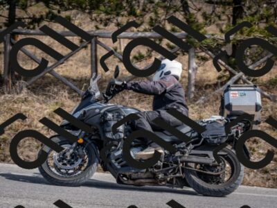 202603011319-DSC_1381_c2