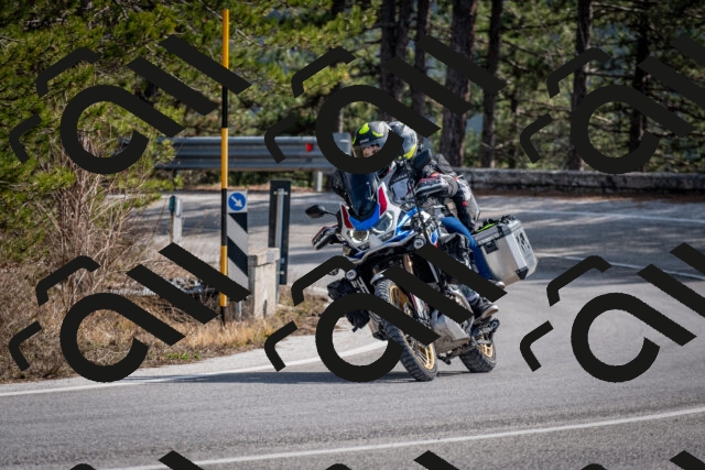 202603011323-DSC_1382_c2