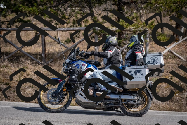 202603011323-DSC_1384_c2