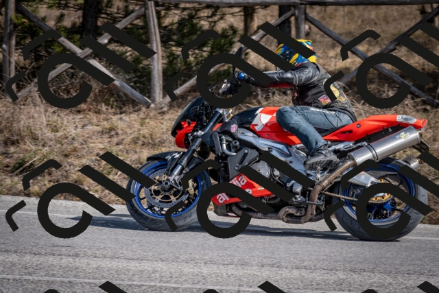 202603011327-DSC_1388_c2