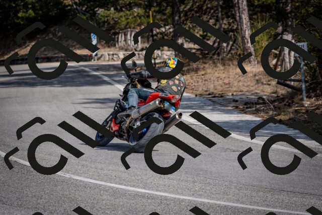 202603011327-DSC_1389_c2