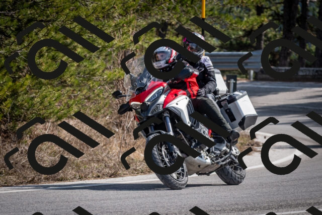 202603011328-DSC_1391_c2