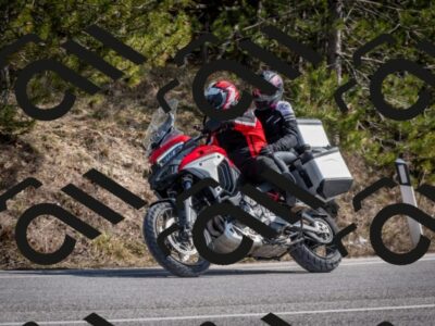 202603011328-DSC_1392_c2