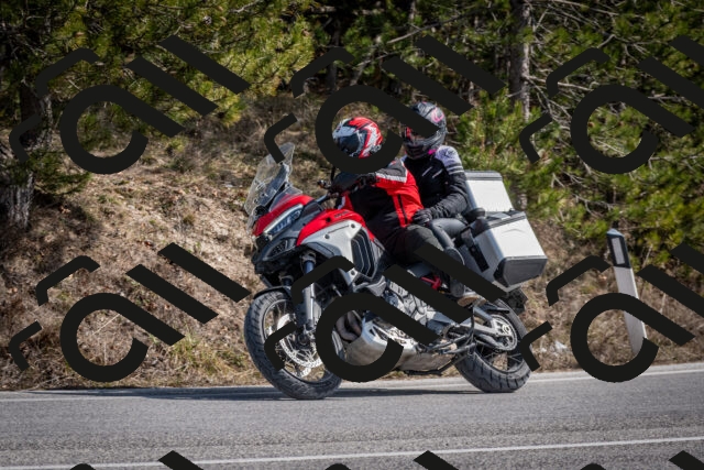 202603011328-DSC_1392_c2