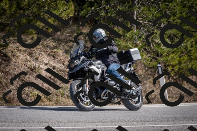 202603011328-DSC_1394_c2