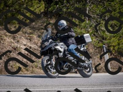 202603011328-DSC_1394_c2