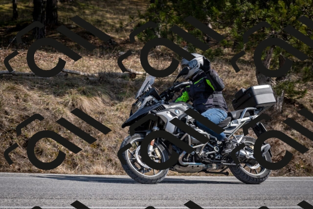 202603011328-DSC_1395_c2