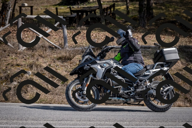 202603011328-DSC_1396_c2