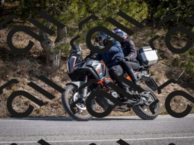 202603011328-DSC_1397_c2