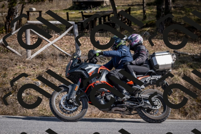 202603011328-DSC_1398_c2