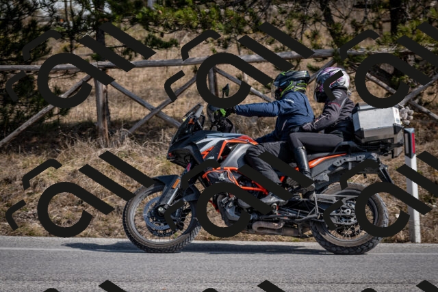 202603011328-DSC_1399_c2