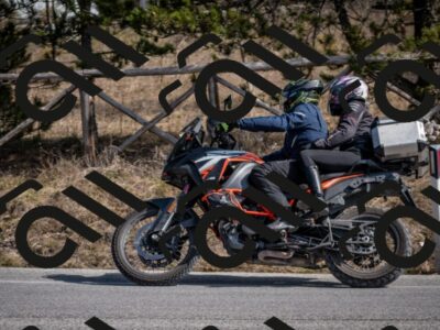 202603011328-DSC_1399_c2