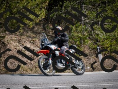 202603011331-DSC_1401_c2