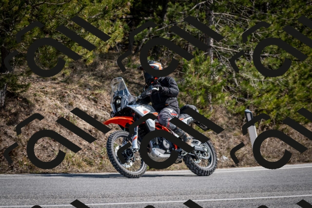 202603011331-DSC_1401_c2