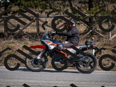 202603011331-DSC_1402_c2