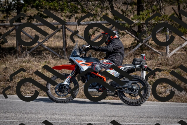 202603011331-DSC_1402_c2