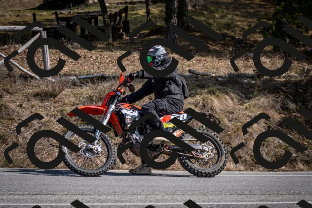 202603011334-DSC_1403_c2