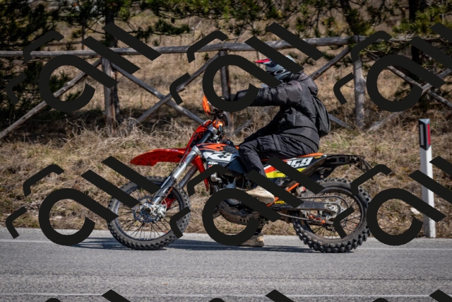 202603011334-DSC_1404_c2