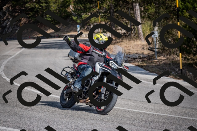 202603011334-DSC_1405_c2