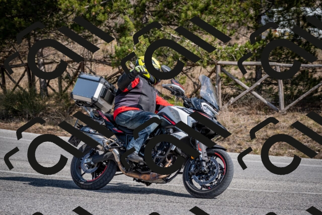 202603011334-DSC_1406_c2