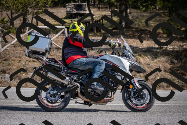 202603011334-DSC_1407_c2