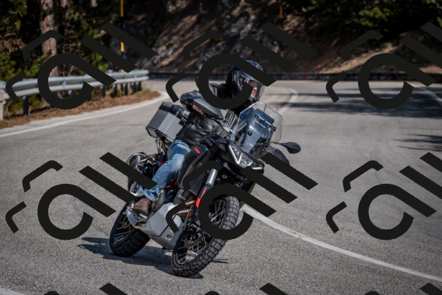 202603011335-DSC_1408_c2