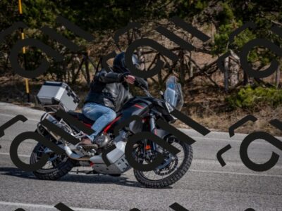 202603011335-DSC_1409_c2