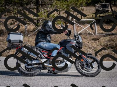 202603011335-DSC_1410_c2