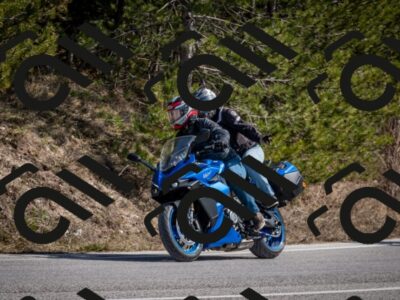 202603011342-DSC_1412_c2