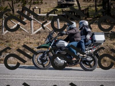 202603011342-DSC_1416_c2