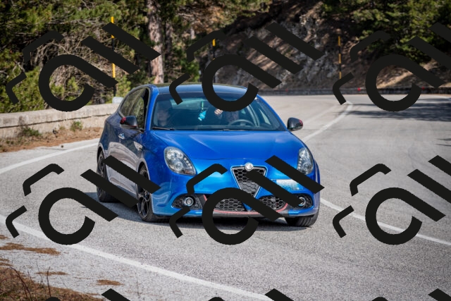 202603011343-DSC_1417_c2