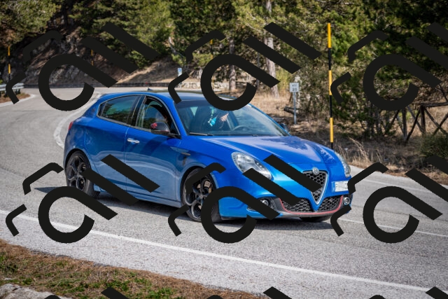 202603011343-DSC_1419_c2