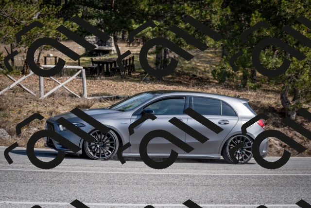 202603011344-DSC_1422_c2