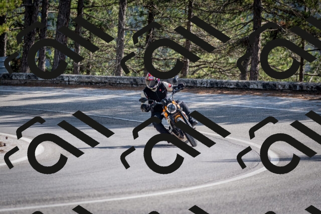 202603011347-DSC_1425_c2