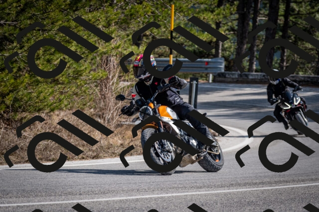 202603011347-DSC_1426_c2