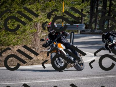 202603011347-DSC_1426_c2