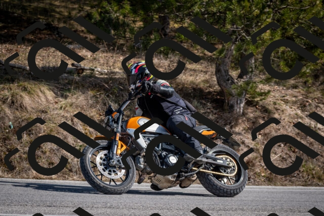 202603011347-DSC_1427_c2