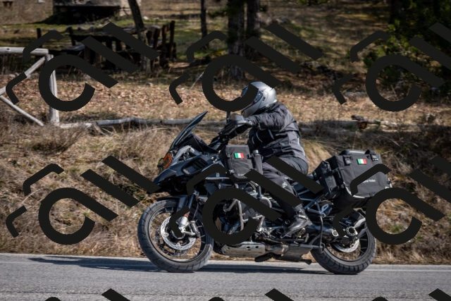 202603011347-DSC_1431_c2