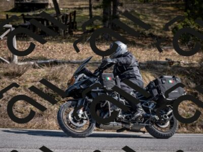 202603011347-DSC_1431_c2