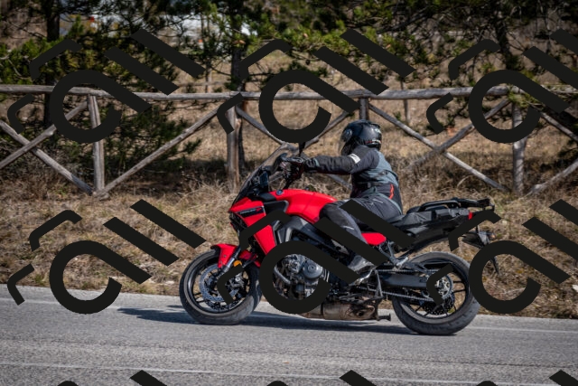 202603011347-DSC_1435_c2