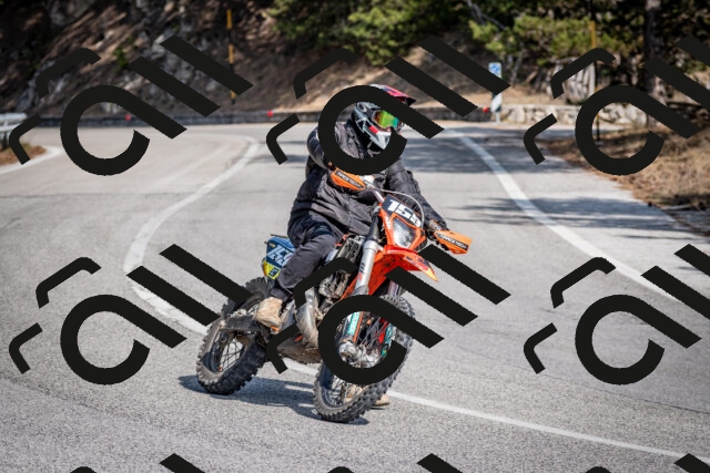 202603011349-DSC_1436_c2