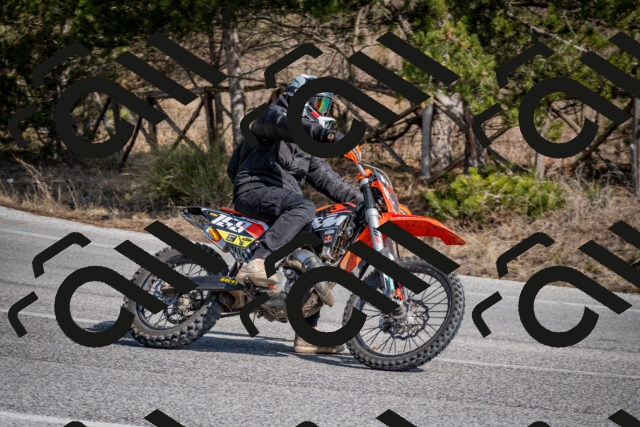 202603011349-DSC_1437_c2